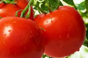 Вкусные свежие помидоры круглосуточно в гипермаркете Вкусторг